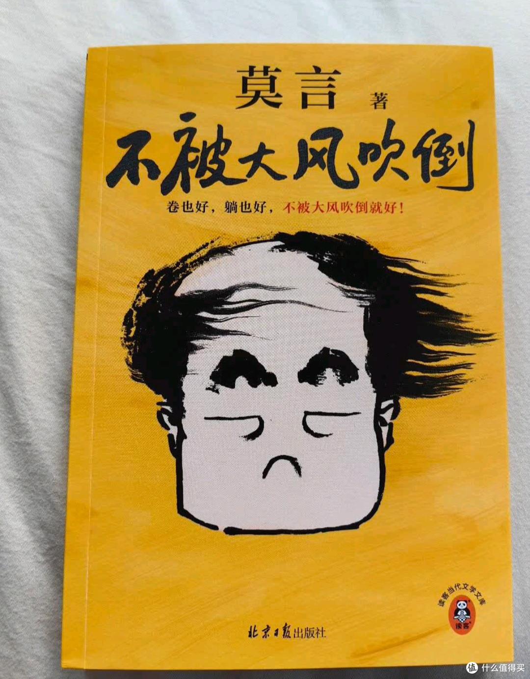 不被大风吹倒:在不确定的时代寻找内心的锚