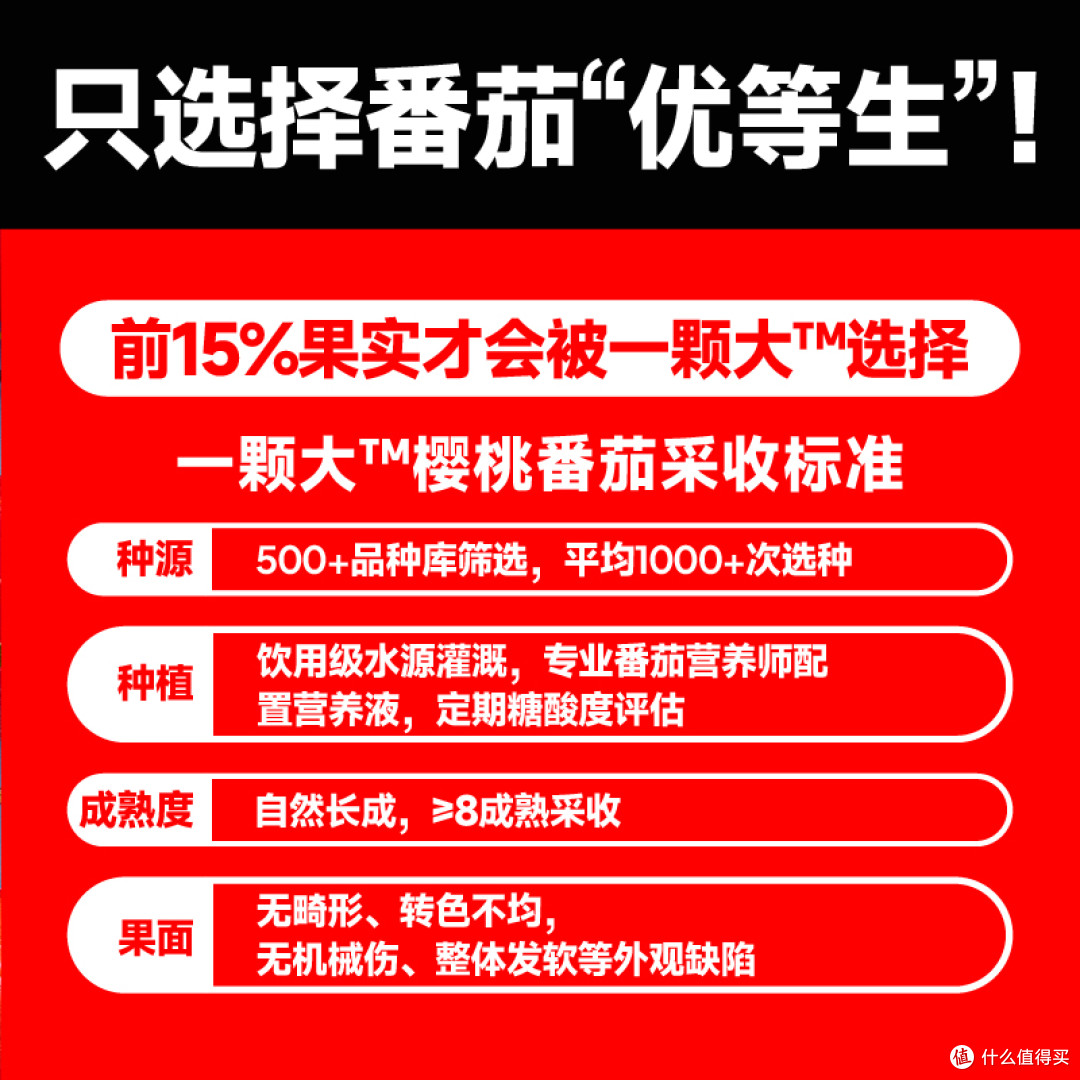 黄绿宝石番茄实测：清甜爆汁的春日小零嘴