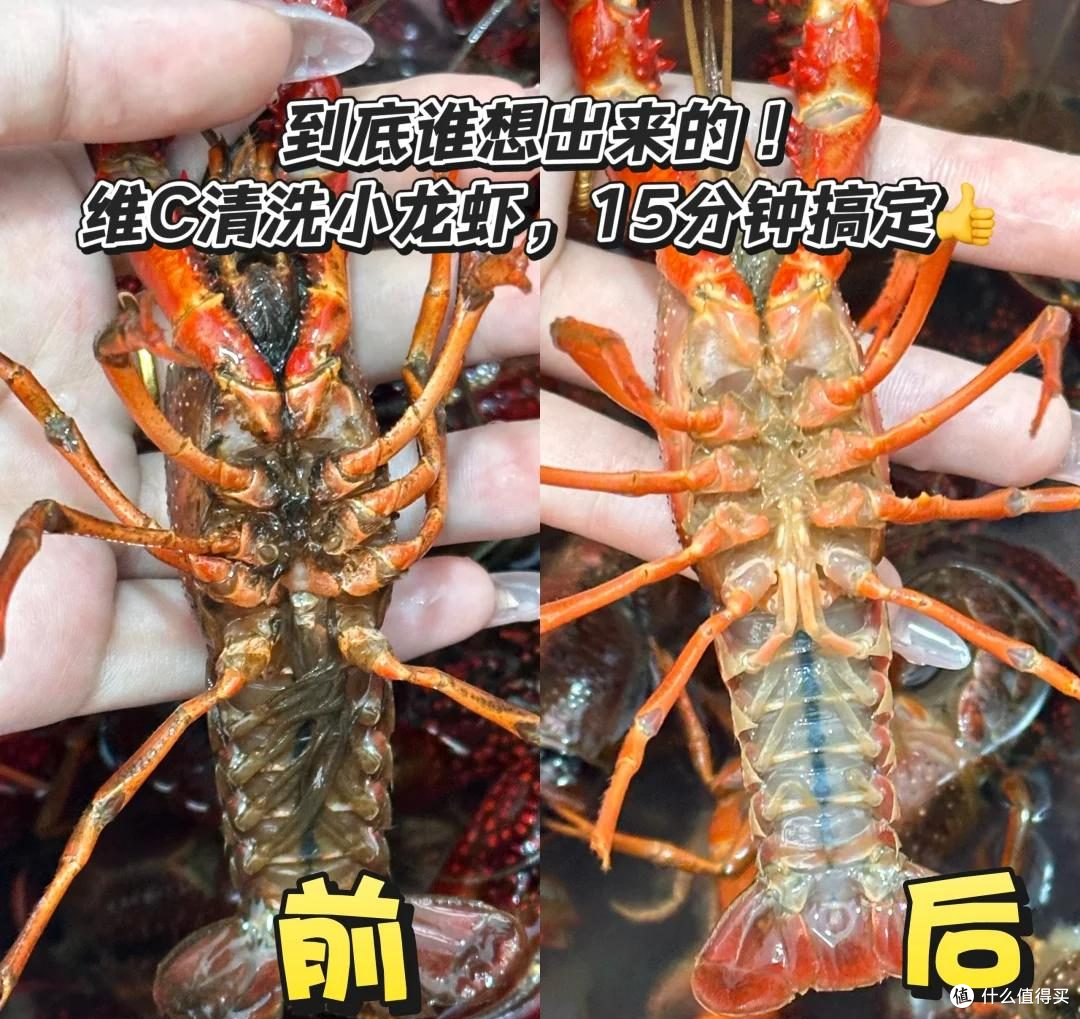 邪修做家务就是快!还是现在年轻人脑子好使,以前家务都白做了!
