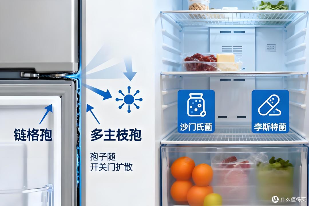 冰箱中细菌分布