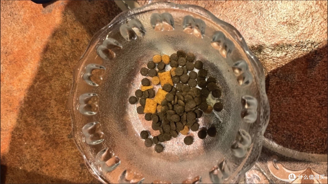 90%动物性原料，助力猫咪健康长肉