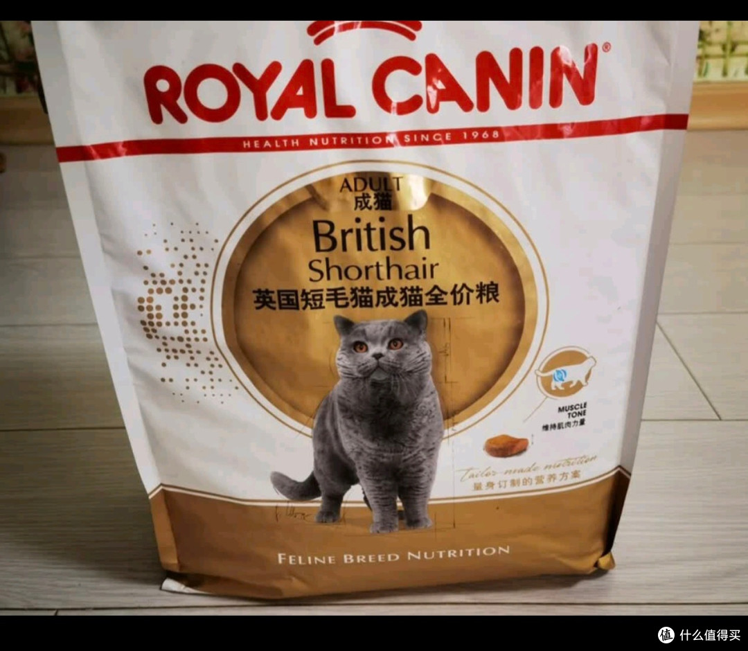 皇家BS34英短成猫粮，营养与体重兼顾