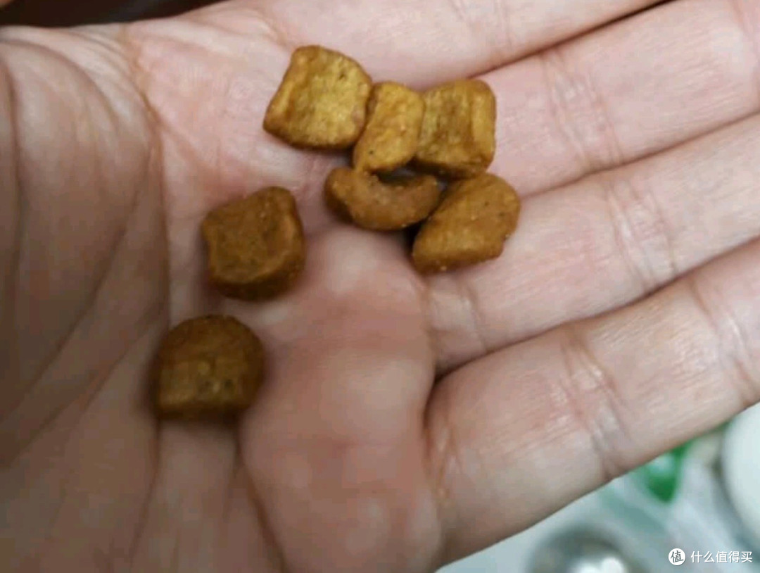 皇家BS34英短成猫粮，营养与体重兼顾