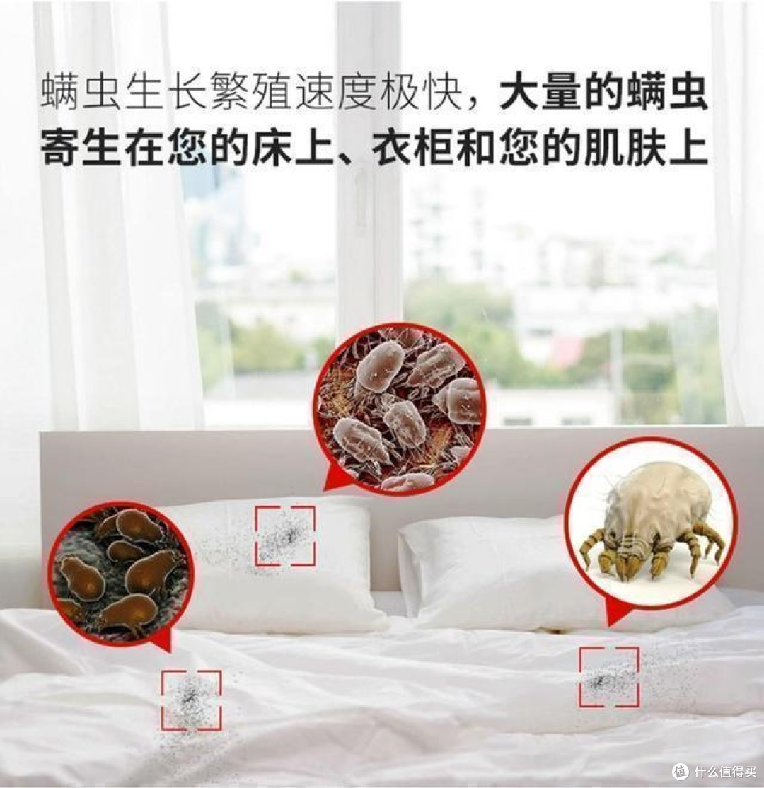 2025 年除螨仪排行榜 TOP10 出炉！友望/希亦/美的谁才是口碑之王