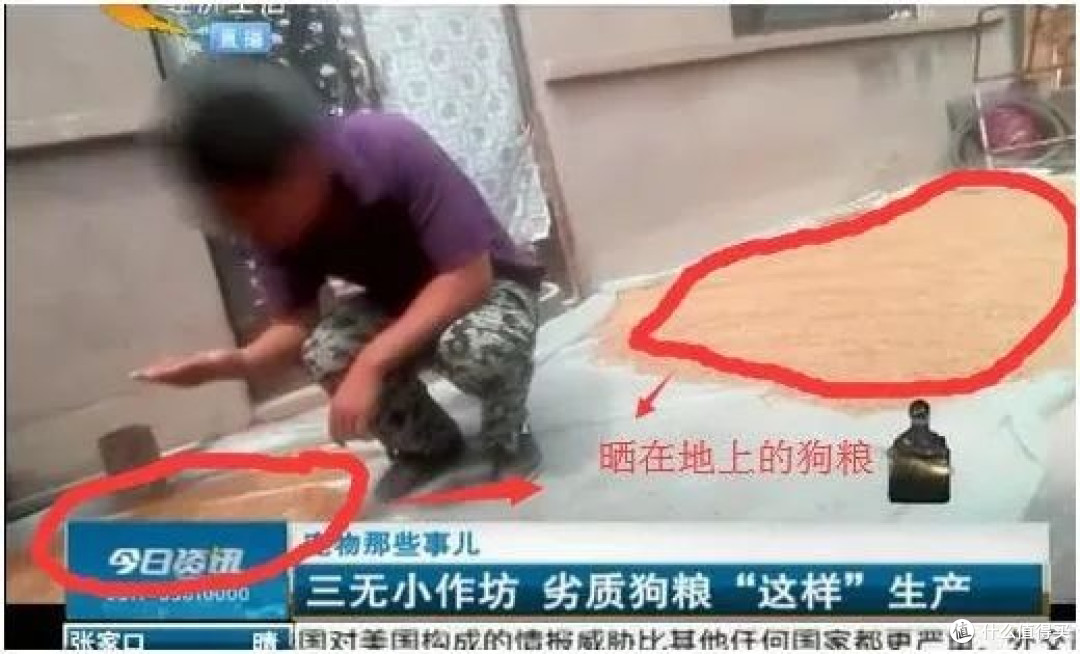狗粮便宜又好的有哪些?3步教你正确挑选狗粮