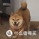 狗粮价格为什么差别这么大?