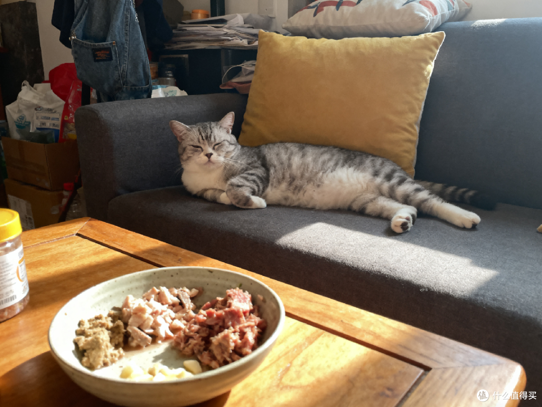 高蛋白自制猫饭食谱!自制猫饭配方比例表包掌握自制猫饭科学配比