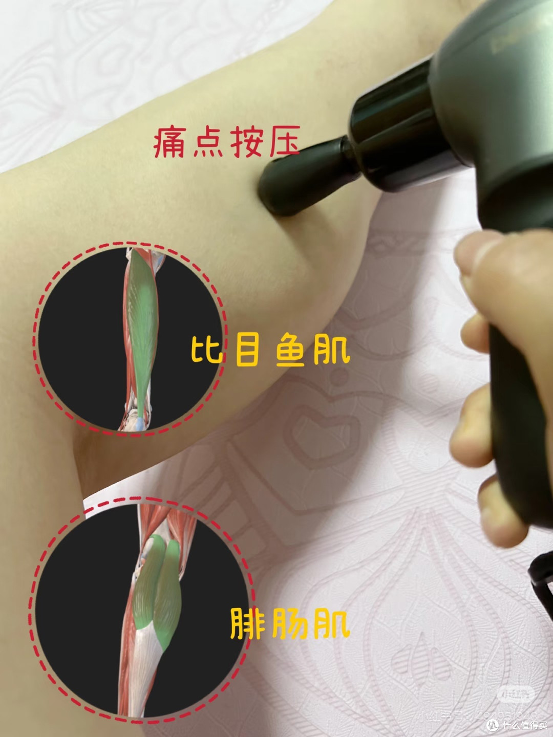 跑后筋膜枪放松方法(第二天真的腿不酸胀)