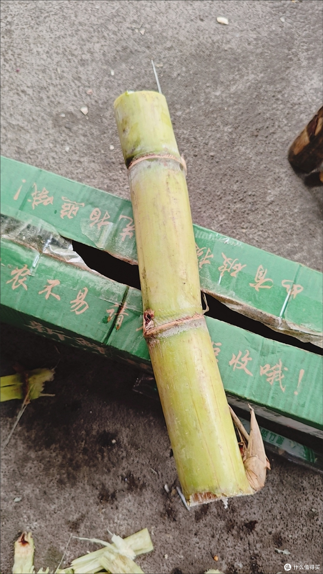 双十一水果囤货王!云南黄金甘蔗,松软清甜的冬日限定