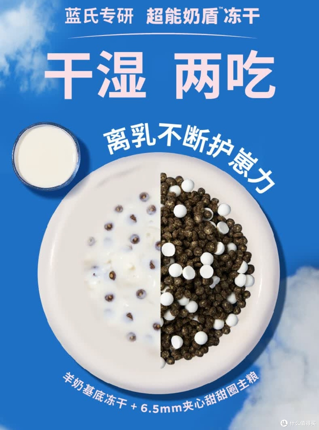 养宠党狂喜!蓝氏奶糕粮让幼猫干饭停不下来✨