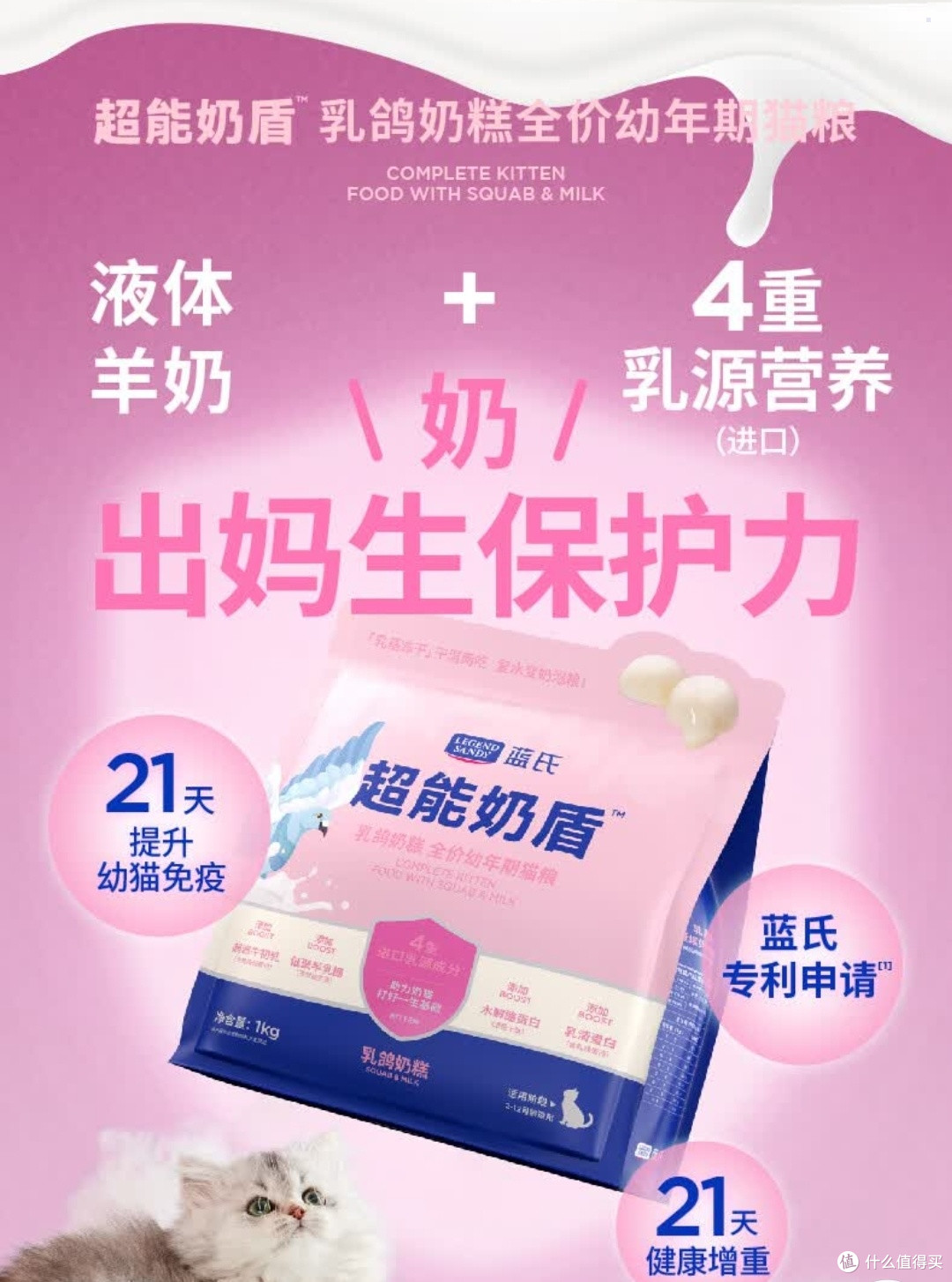 养宠党狂喜!蓝氏奶糕粮让幼猫干饭停不下来✨