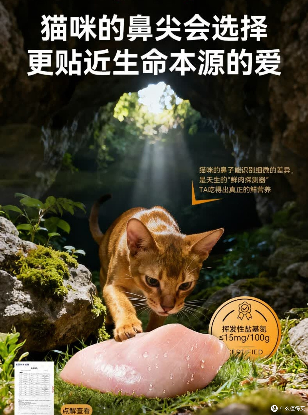 无限回购！麦富迪原生鲜肉粮让猫咪干饭超上头🐱