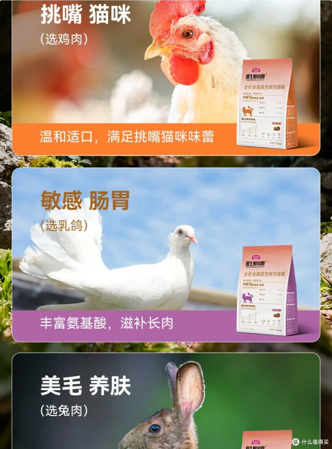 无限回购！麦富迪原生鲜肉粮让猫咪干饭超上头🐱