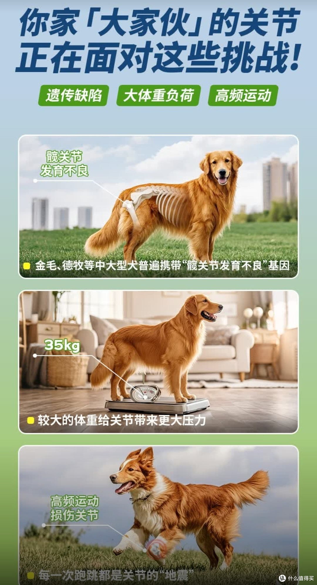 双十一囤粮封神!疯狂小狗这款犬粮让中大型犬干饭超满足🐶
