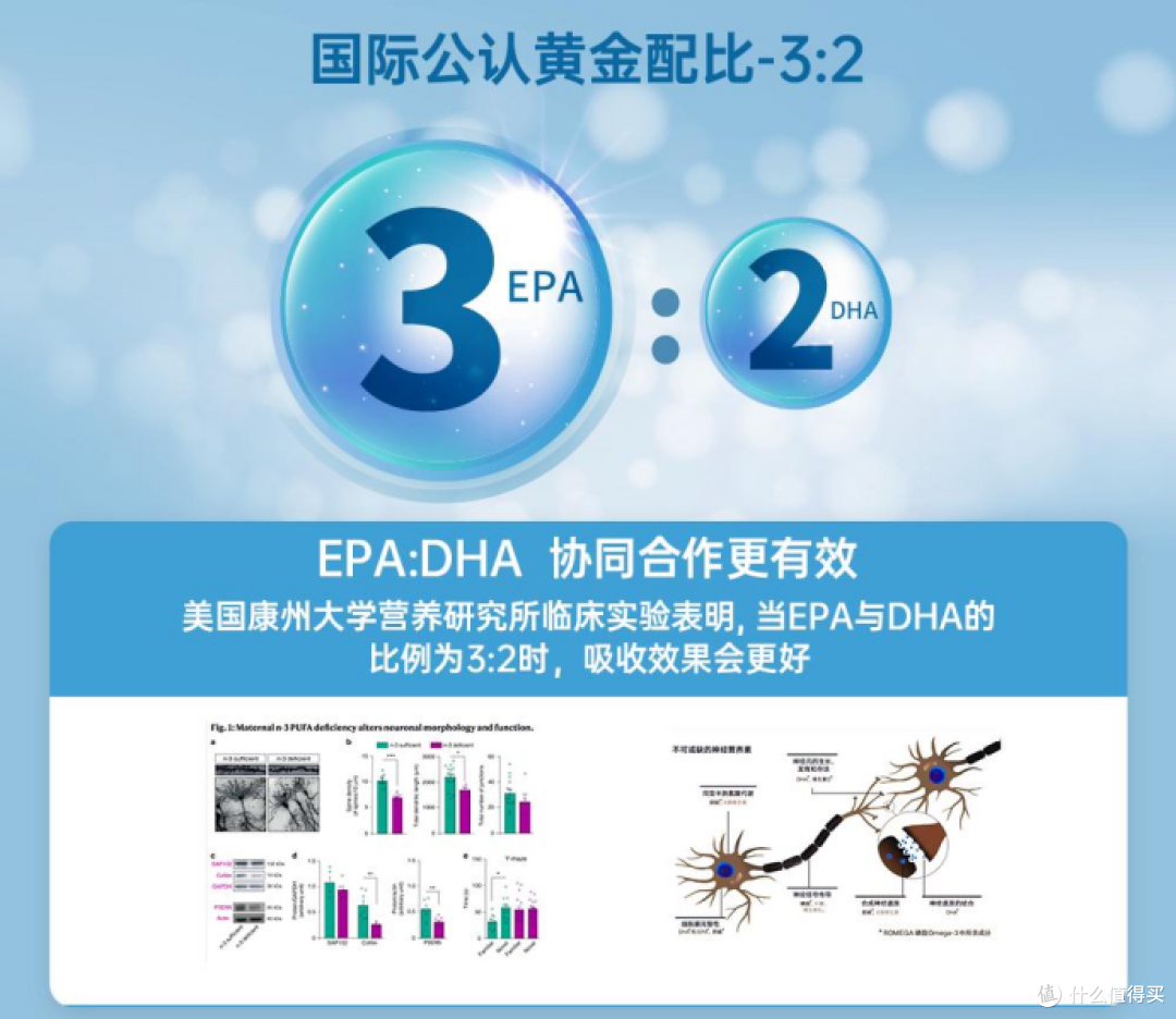 鱼油品牌推荐:十大排名深海鱼油哪个牌子好,养生必看