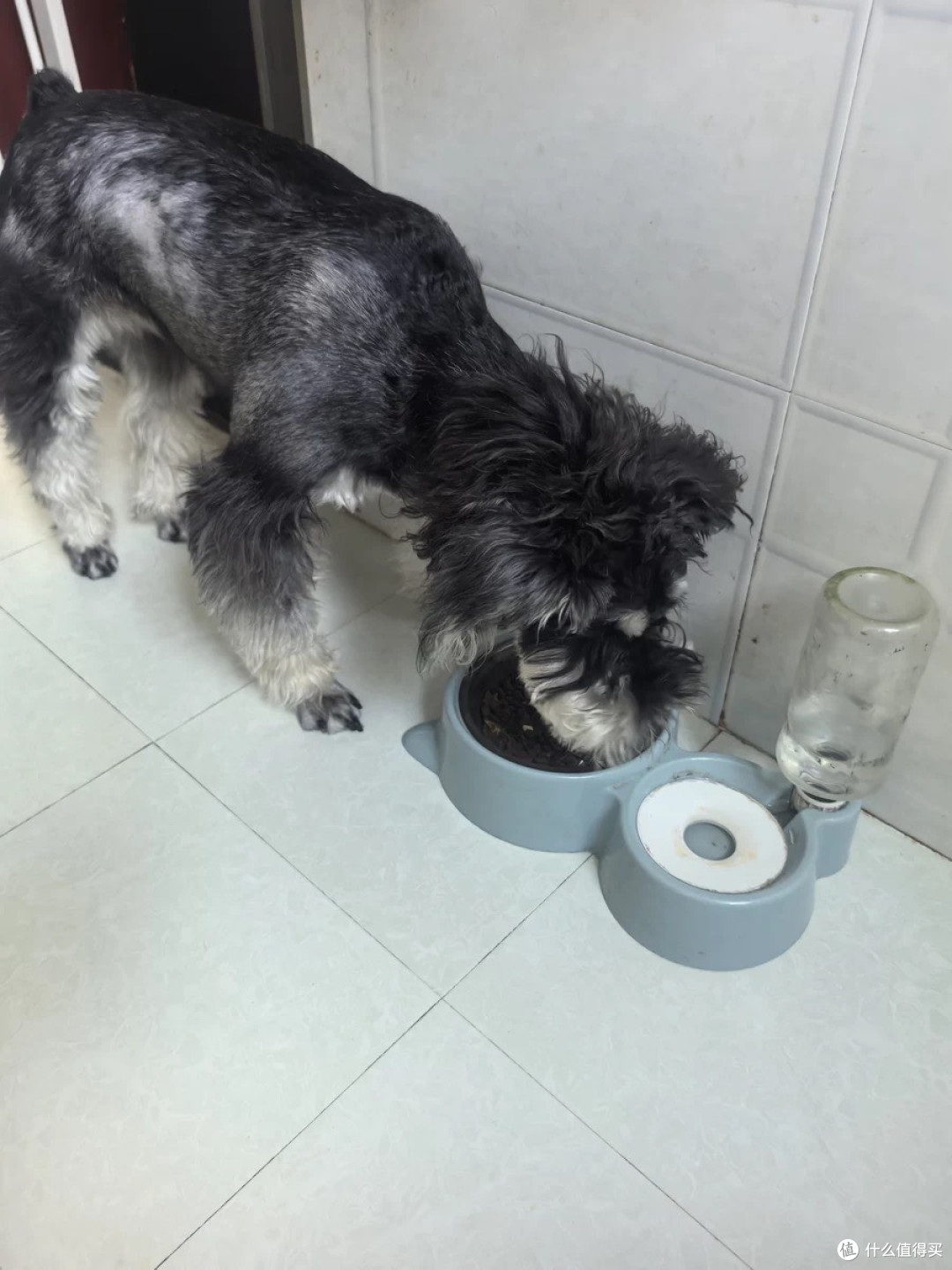 汪爸爸鲜肉无谷狗粮,高鲜肉含量