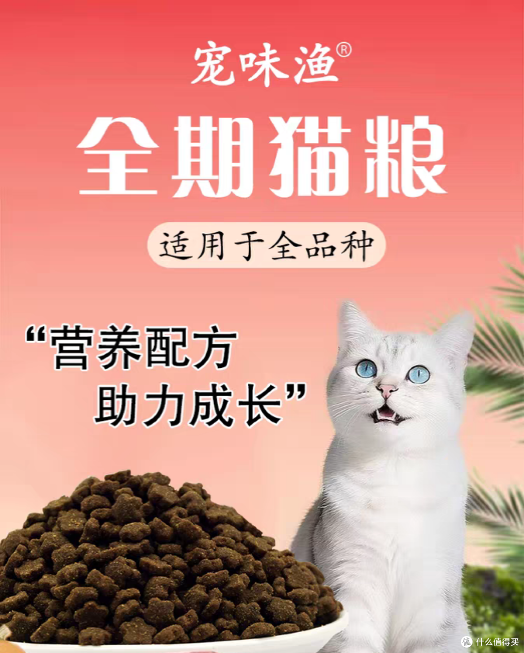 小猫猫粮哪个牌子好?幼猫最适合的猫粮品牌前十名测评