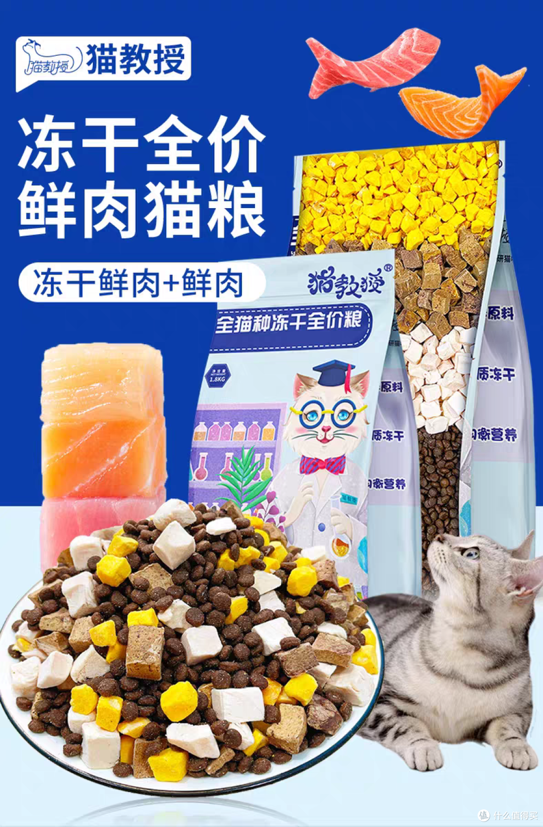 小猫猫粮哪个牌子好?幼猫最适合的猫粮品牌前十名测评