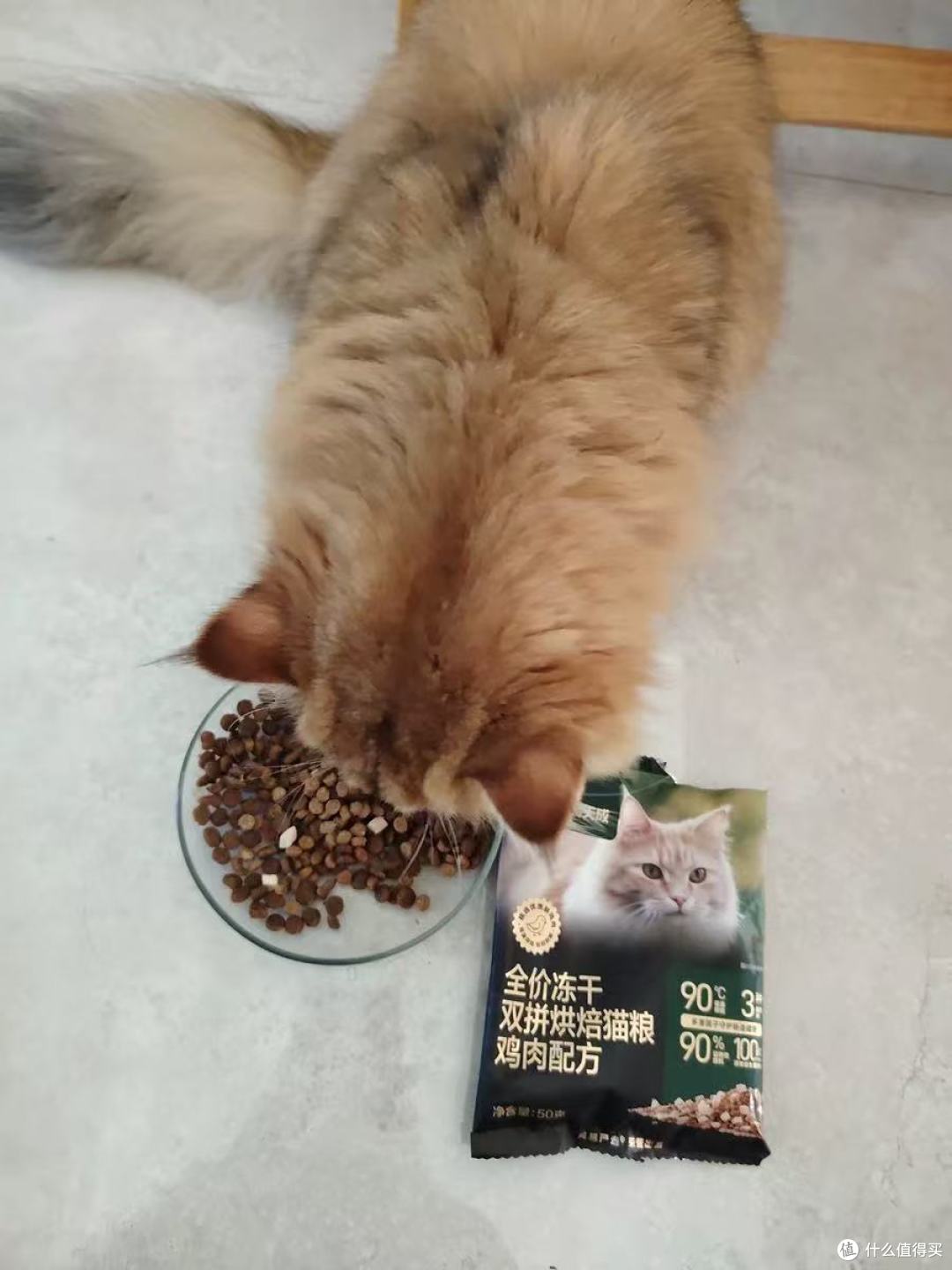 网易天成兔肉烘焙猫粮深度测评!成猫幼猫都能吃的