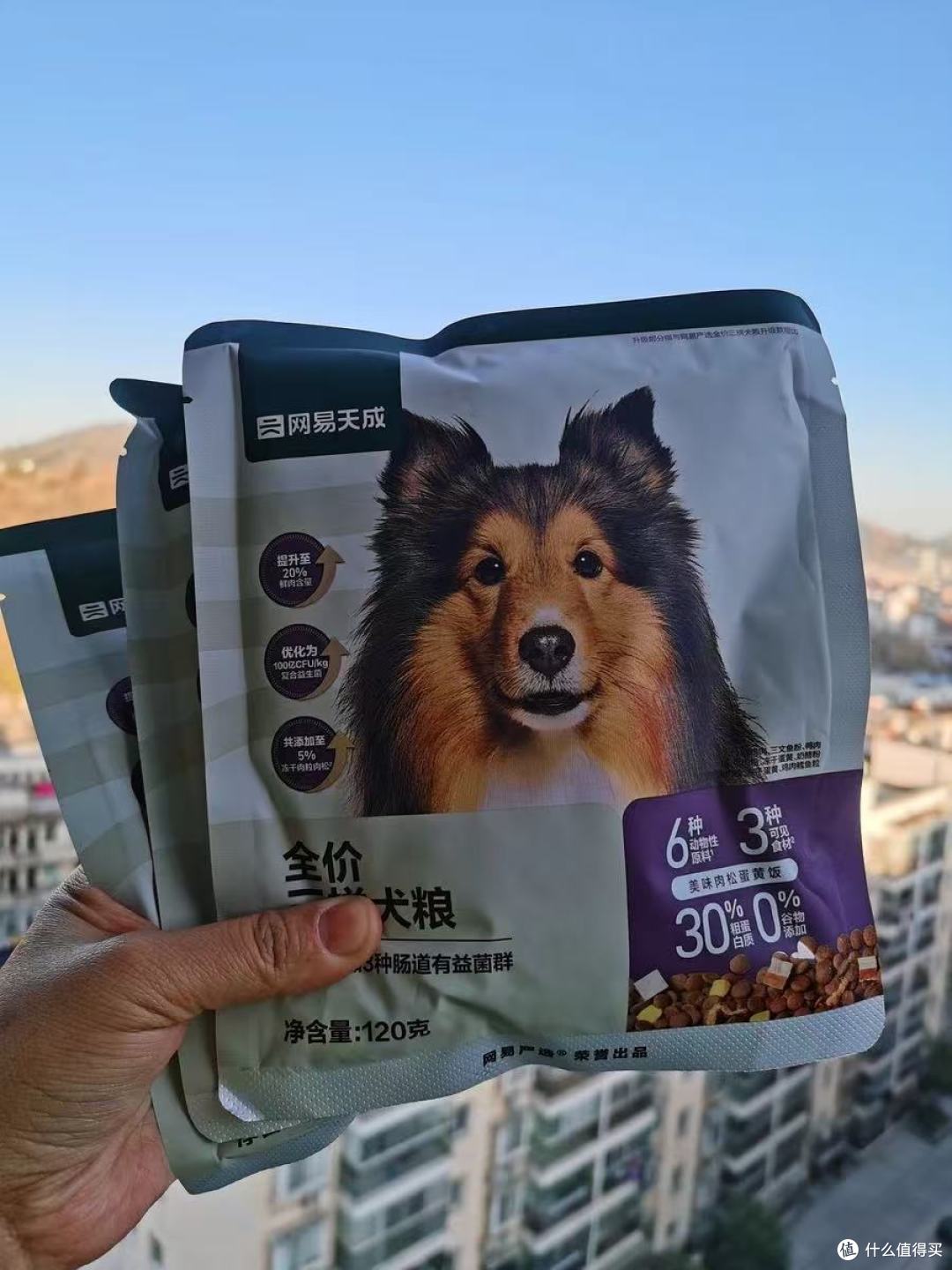 网易天成三拼犬粮:当挑食汪狂炫碗底,我终于懂了“好粮”的真相
