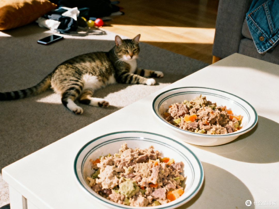 自制猫饭食谱自制猫饭一周食谱!2025年爆火自制猫饭七天食谱推荐