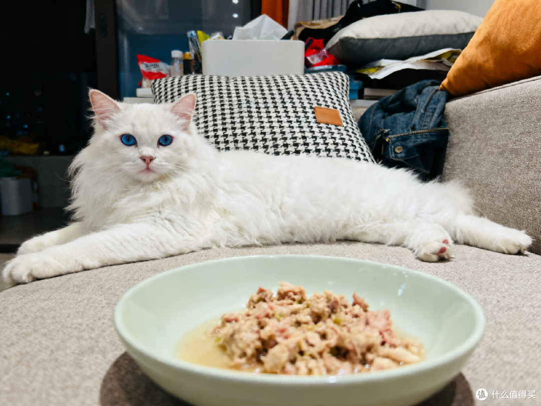 成猫自制猫饭食谱:自制猫饭日常食谱分享,掌握自制猫饭科学配比