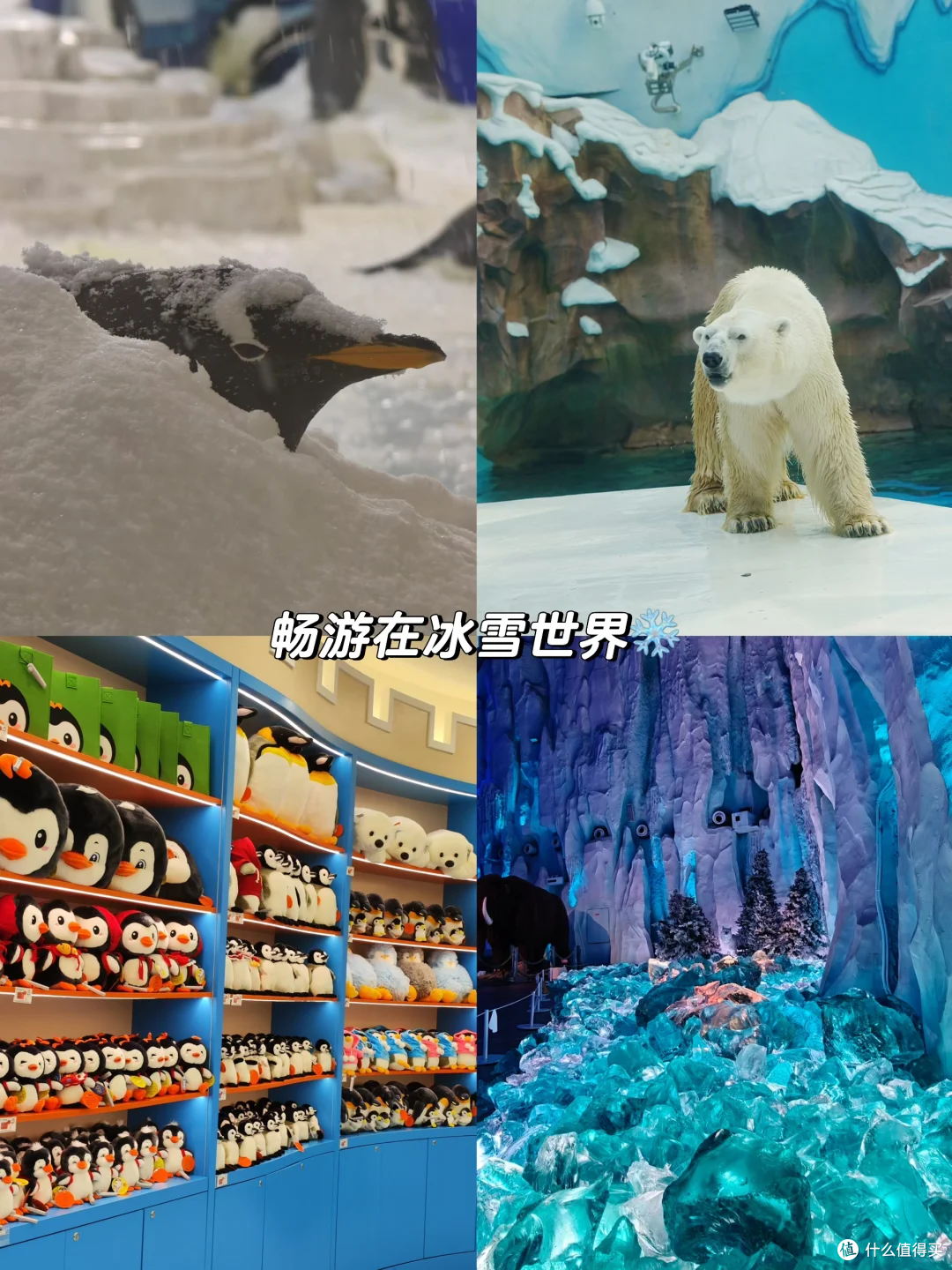 南方小土豆闯哈尔滨!囤货清单超抗冻
