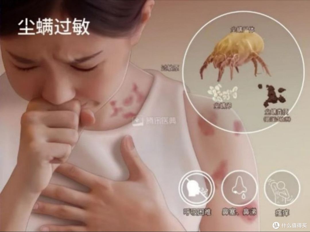 家居防螨策略:多管齐下保健康