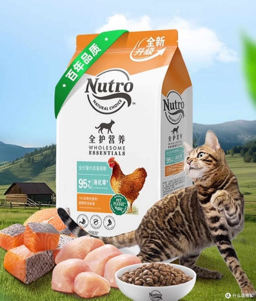 2025年国产猫粮哪种比较好?口碑好的猫粮排名红黑榜推荐清单