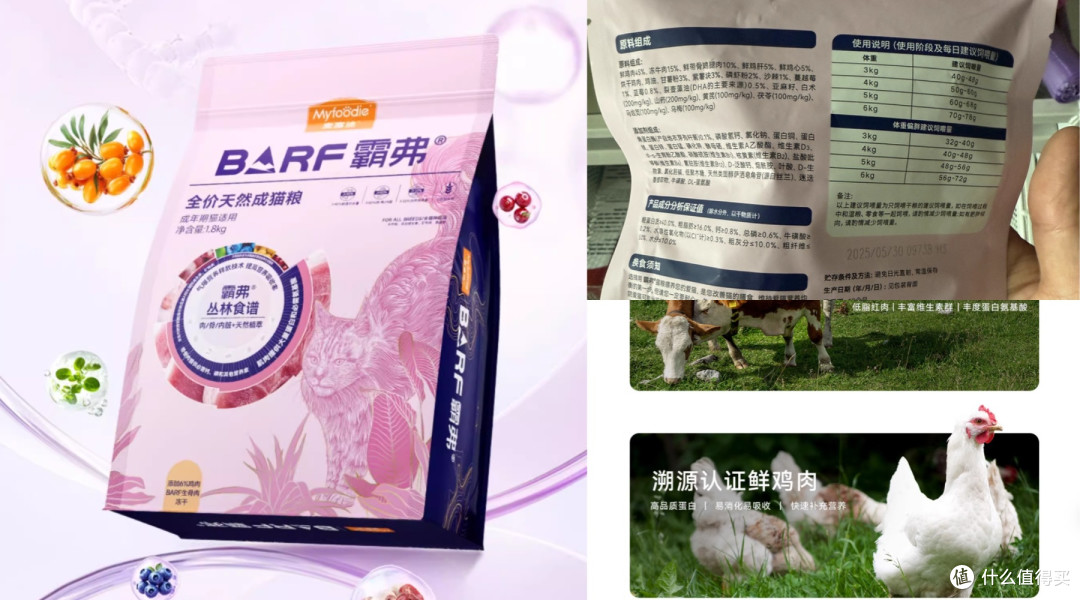 预算不高怎么选猫粮？热门十大安全高性价比猫粮牌子推荐