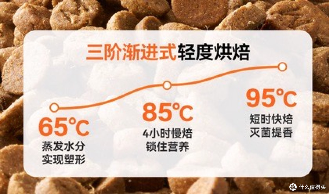 被挑食猫逼疯后,我终于靠希喂猫粮解锁了主动干饭模式