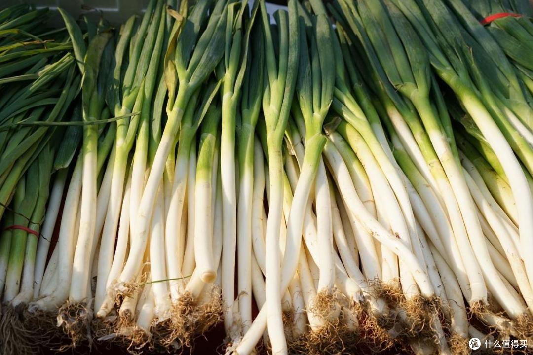 全国哪的“大葱”最好吃?经过评选,这10大产区上榜,有你家乡吗