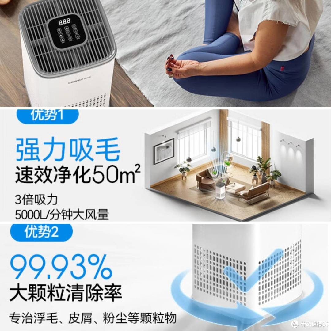2025 宠物空气净化器推荐:这 3 款高性价比清单,不花冤枉钱