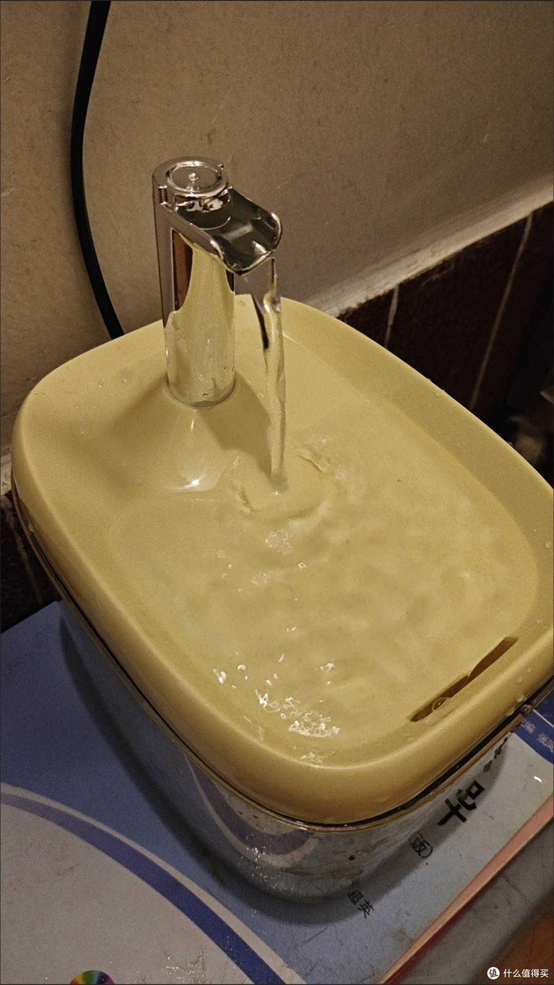 流动水宠物饮水机解决猫咪喝水难题