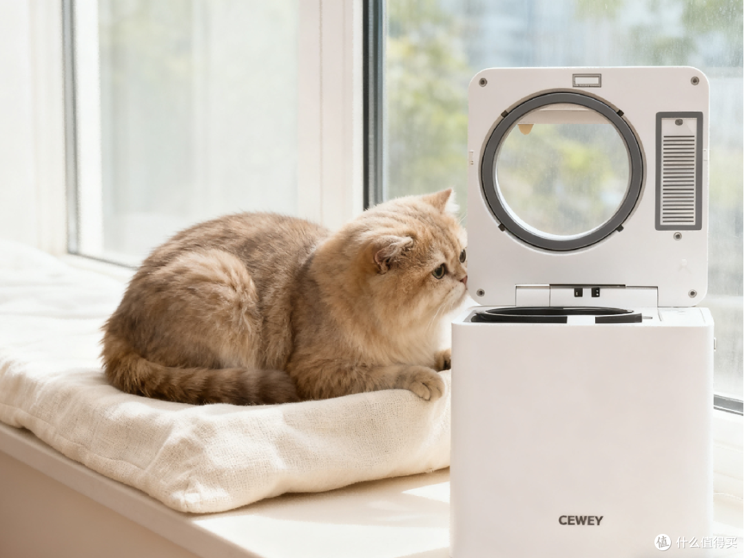 自制猫饭为什么不能随便做?一份自制猫饭制作方法配方大全说明白
