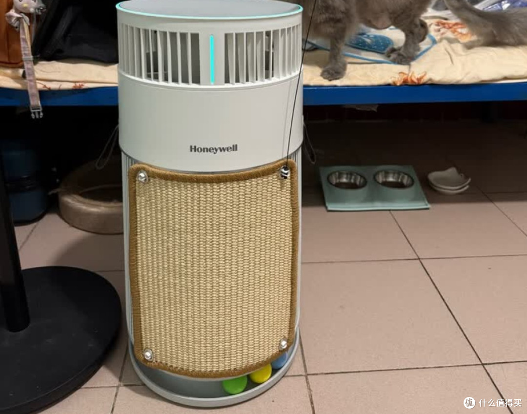 宠物净化器吸猫毛哪个牌子好?除臭效果对比,前十机型多维度实测