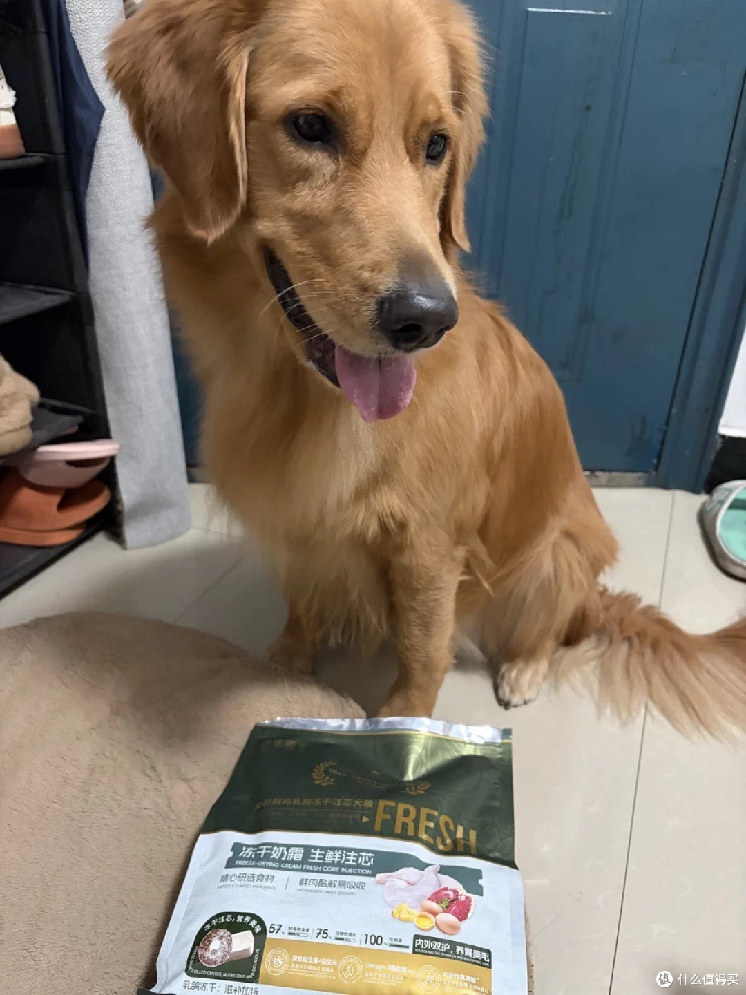 全家犬通用的养宠宝藏!食年逸生注芯冻干狗粮太省心
