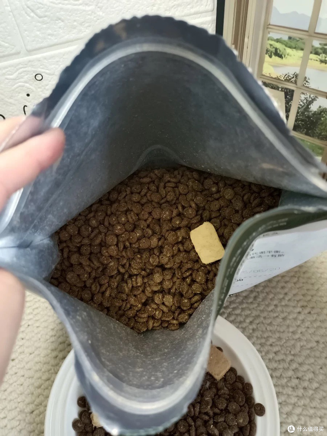 双11必囤狗粮！食年逸生注芯冻干，我家毛孩子追着要吃
