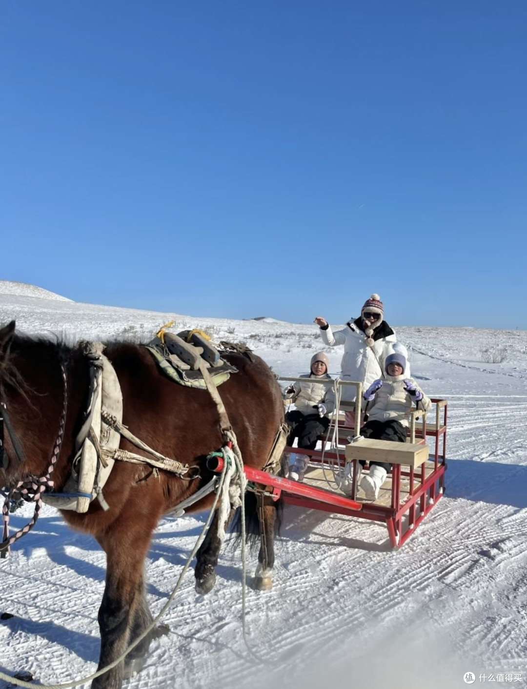 乌兰布统雪原之旅：比哈尔滨更实惠