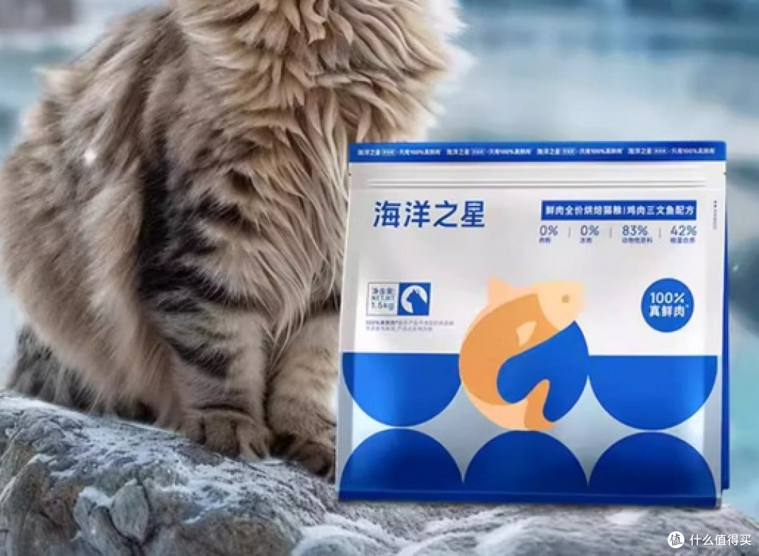 猫为什么那么掉毛?掉毛猫应该吃什么猫粮?2025猫粮品牌排行推荐