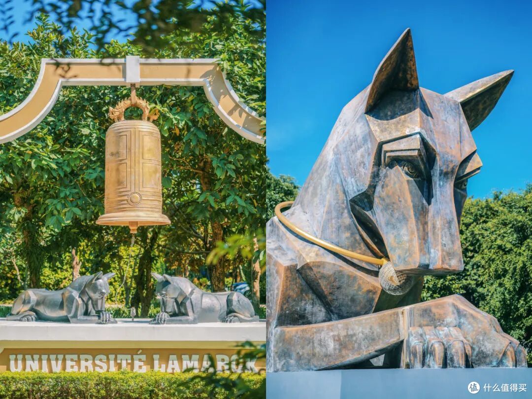 为这所“大学”飞3000公里真是值了！每处都藏着不想走的理由