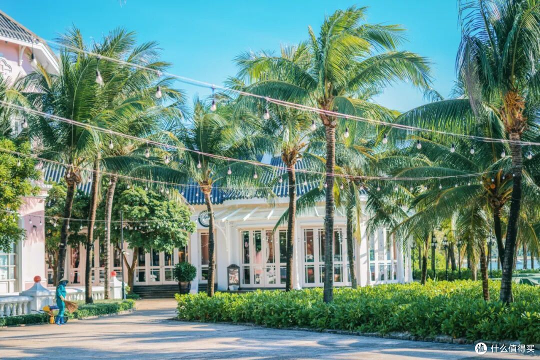 为这所“大学”飞3000公里真是值了！每处都藏着不想走的理由