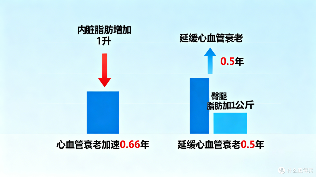 图片由AI生成版权所有