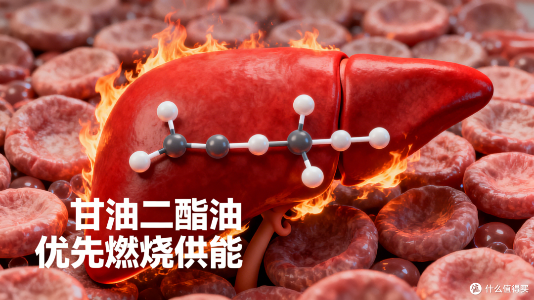图片由AI生成版权所有