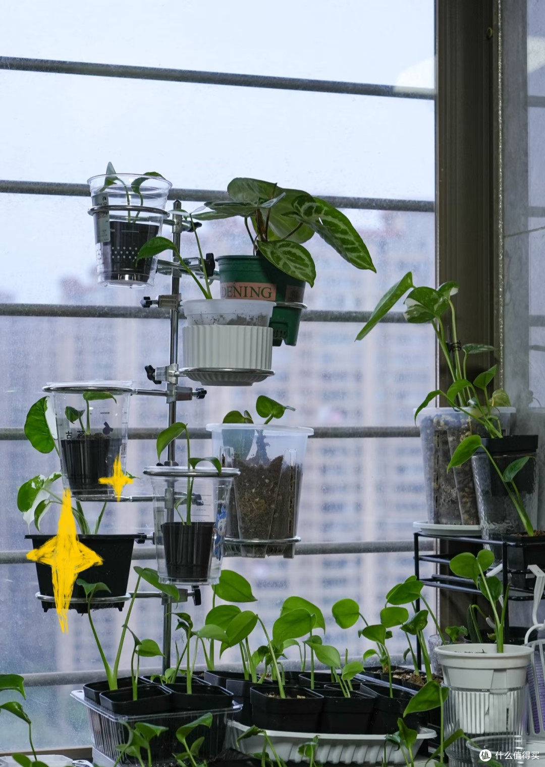 偷偷告诉你:最具性价比的长期主义好物是实验室用品