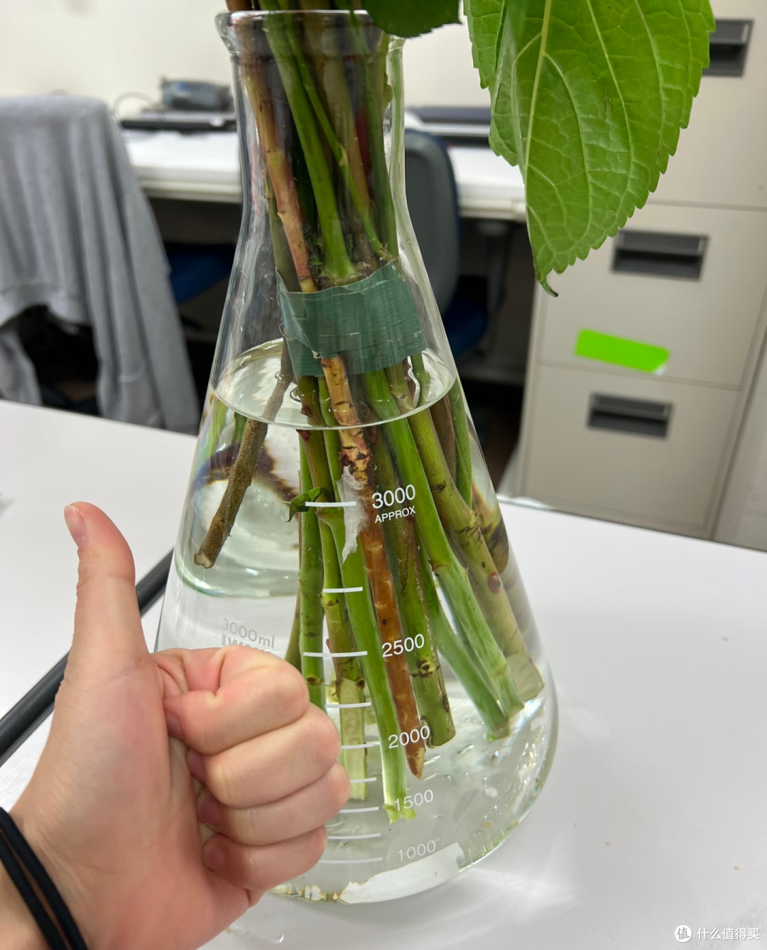 偷偷告诉你:最具性价比的长期主义好物是实验室用品