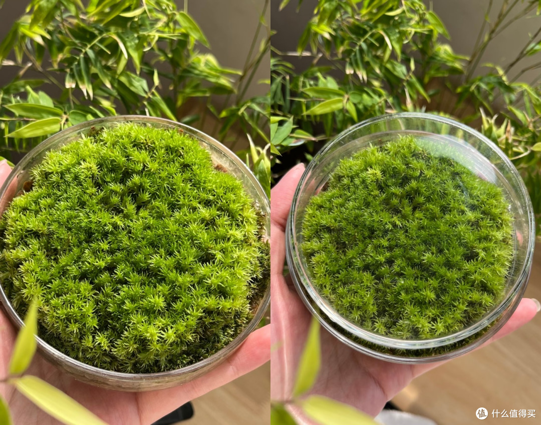 偷偷告诉你:最具性价比的长期主义好物是实验室用品