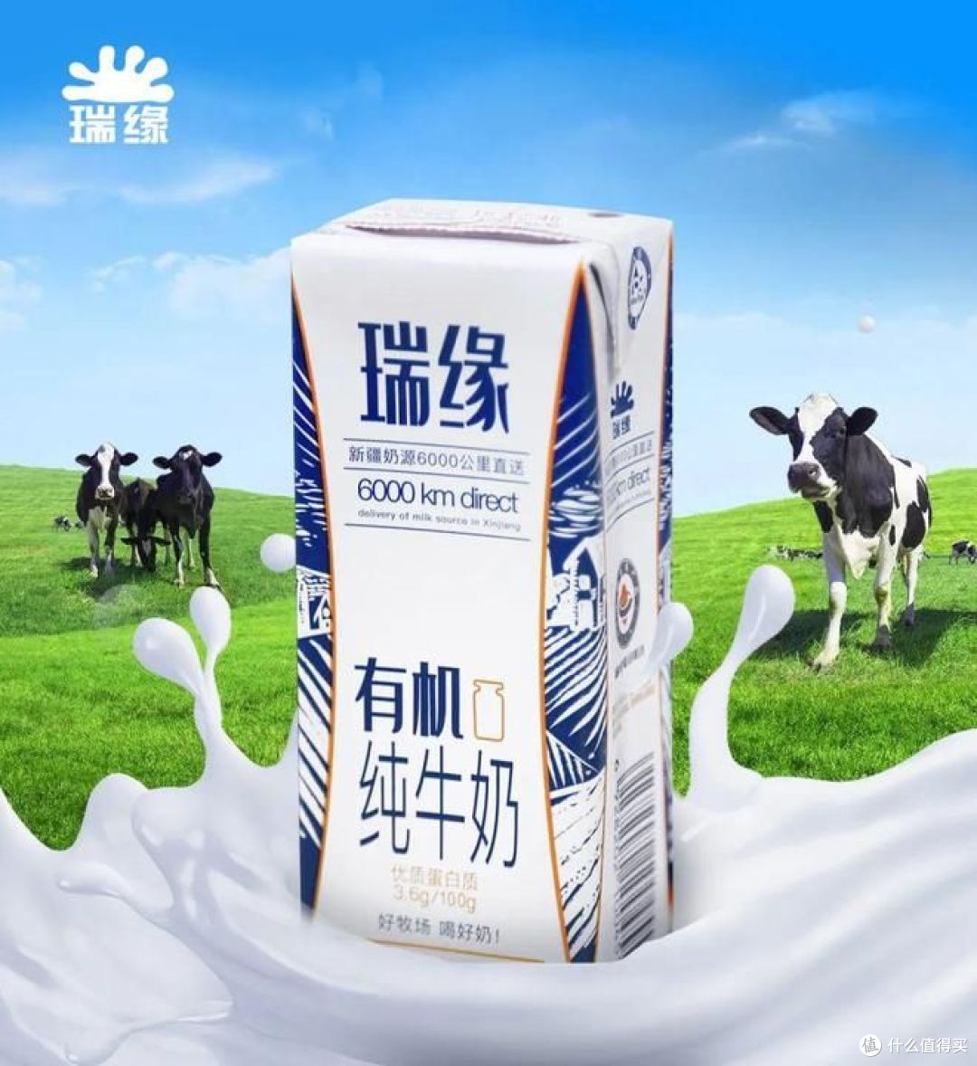 新疆什么品牌的牛奶和酸奶好喝?哪款更受欢迎?