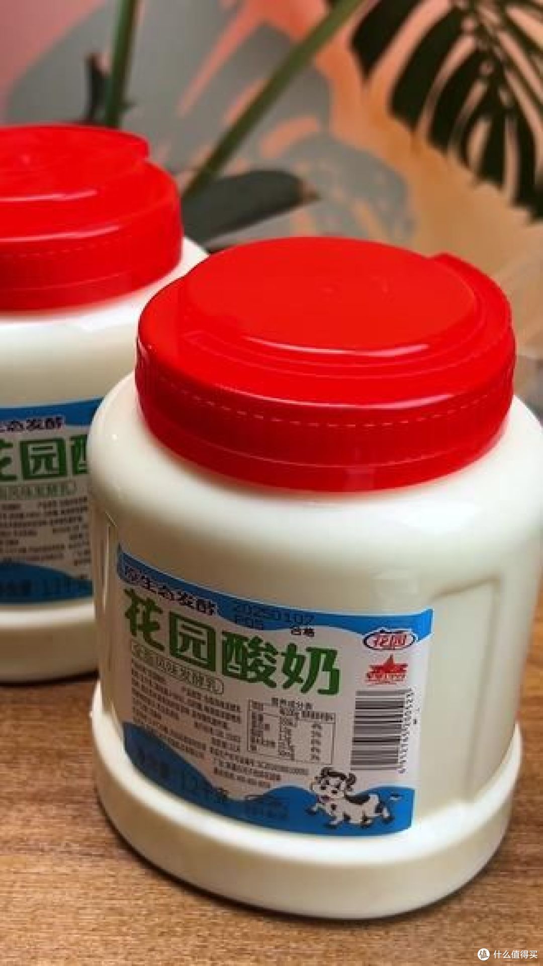 新疆什么品牌的牛奶和酸奶好喝?哪款更受欢迎?