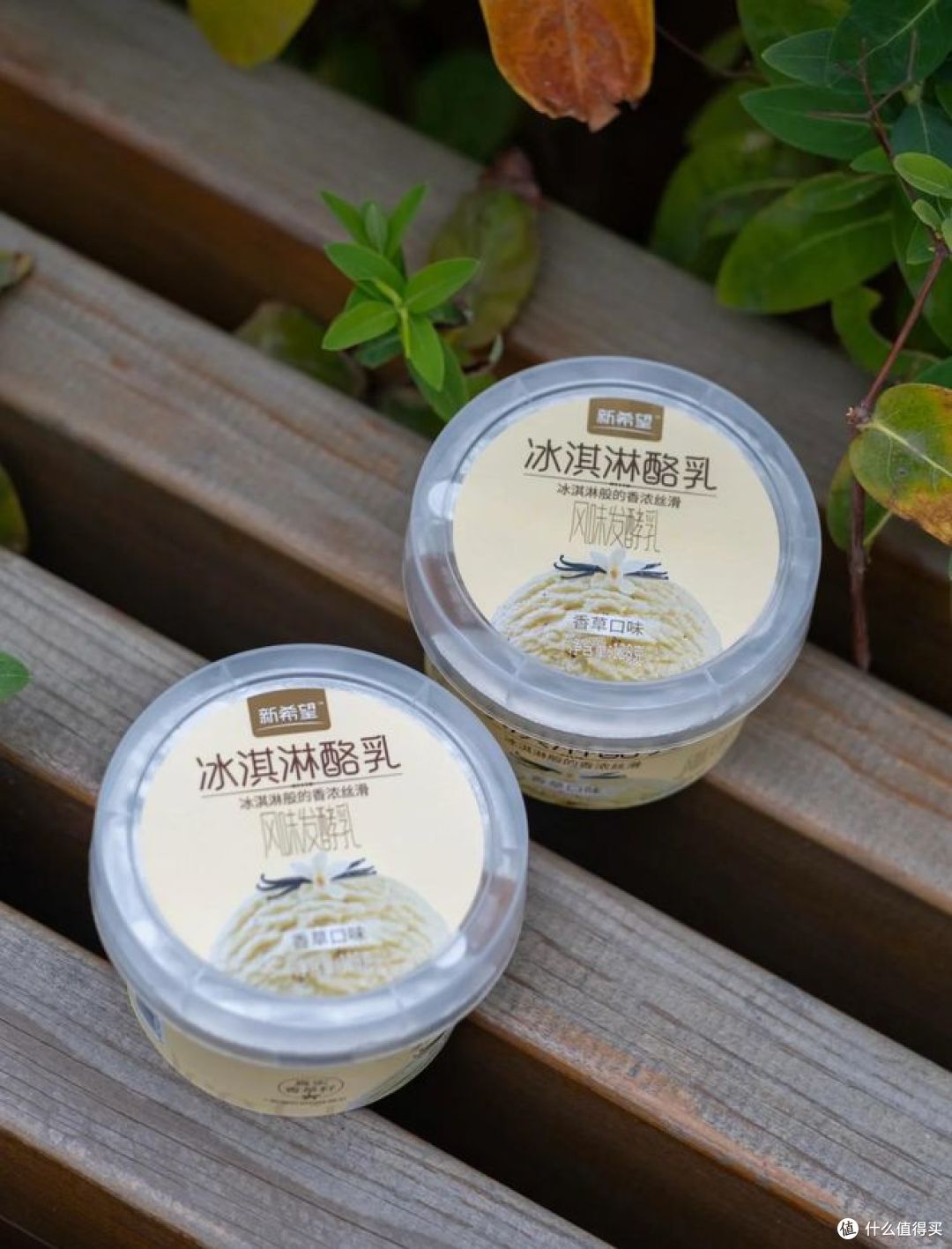 新疆什么品牌的牛奶和酸奶好喝?哪款更受欢迎?
